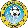 Wappen TJ Slovan Vesec B