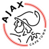 Wappen Ajax Cape Town FC diverse