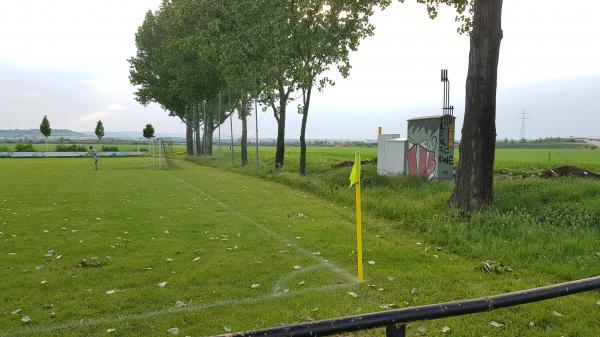 Sportplatz am Kleingarten - Erfurt-Schwerborn