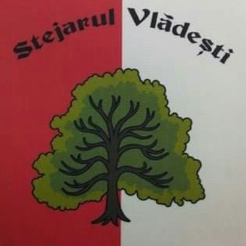 Wappen AS Stejarul Vlădești 2009   32866