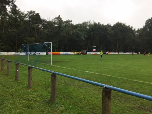 Norbert-Passek-Sportfeld - Elsterheide-Bergen