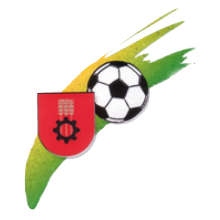 Wappen SV Haiming diverse