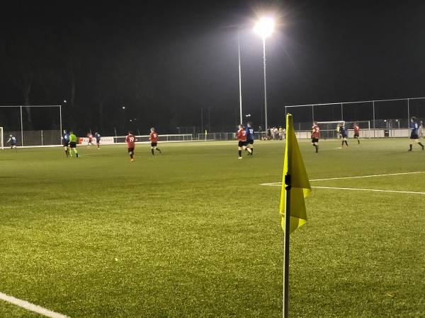 Sportpark Vierkantsdijk veld 2 - Harlingen