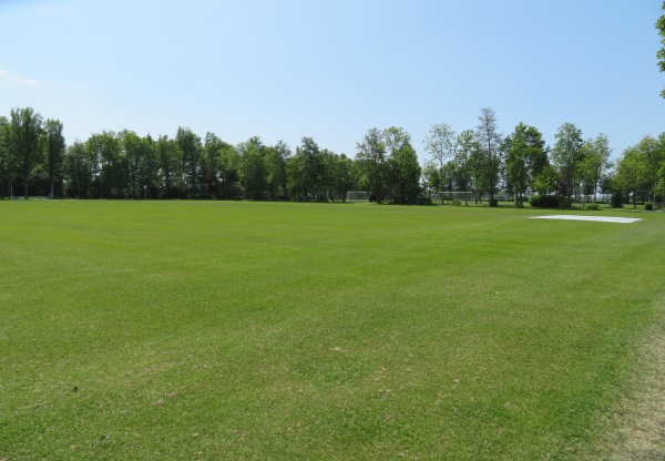 Sportpark Ter Specke veld 5 - Lisse