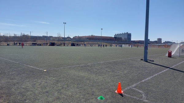 Ryparken Kunstgraesbane - København Ø