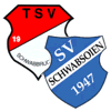 Wappen SpVgg. Schwabbruck/Schwabsoien (Ground B)