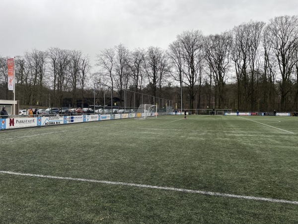 Sportpark De Pinkenberg veld 3-DVOV / Veluwezoom - Rozendaal