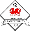 Wappen Llanuwchllyn FC