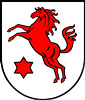 Wappen SV Äpfingen 1926 diverse