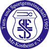 Wappen TuS 05 Kostheim  42818