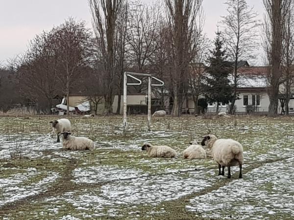 EOS-Platz - Strasburg/Uckermark