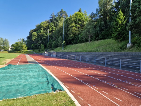 Sportanlage Waldegg Platz A - Horgen