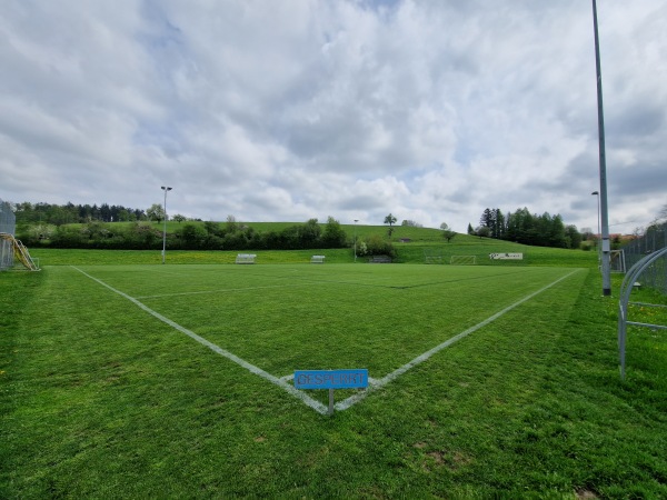 Sportplatz Niderwis Platz 2 - Elsau