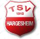 Wappen TSV 1910 Hargesheim diverse  115158
