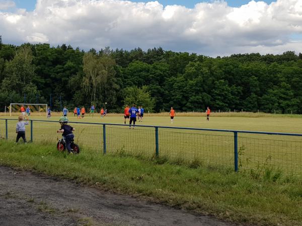 Boisko w Sosny - Sosny, Witnica