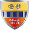 Wappen SV Schleußig 1990 diverse