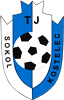 Wappen TJ Sokol Kostelec diverse
