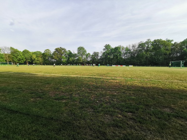 Parkstadion - Salzgitter-Ringelheim