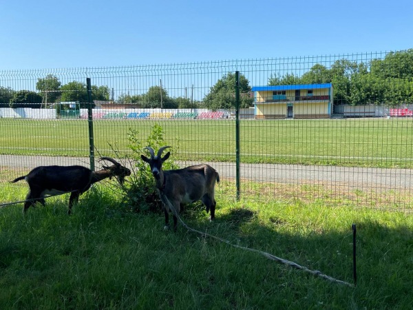 Stadion Avanhard - Radomyshl