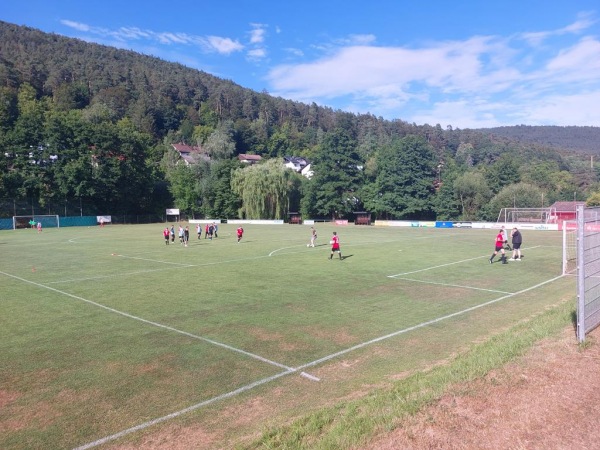 Sportplatz Am Weinberg - Weilbach/Unterfranken-Weckbach