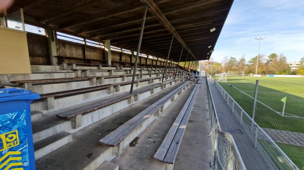 Sportanlage Bodenweid Platz 1 - Bern