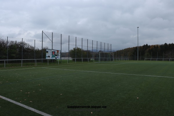 Sportplatz am Hölderlingymnasium - Nürtingen