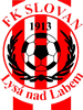 Wappen TJ Slovan Lysá nad Labem diverse