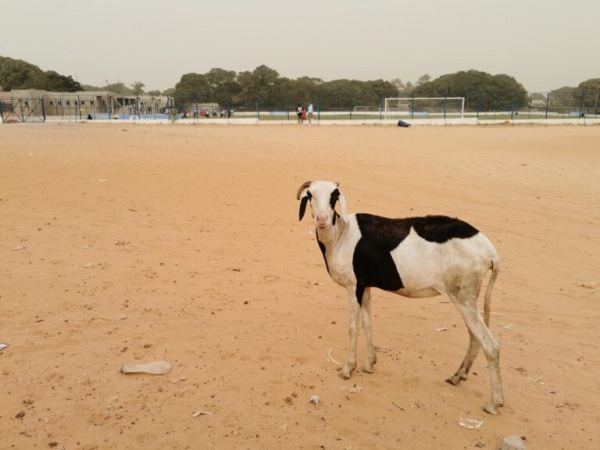 Bakau Mini Stadium - Bakau