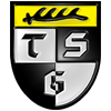 Wappen TSG Balingen 1848 diverse Wappen TSG Balingen 1848 diverse