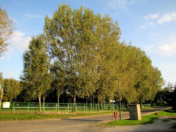 Sportplatz Am Bahnhof - Elsteraue-Rehmsdorf