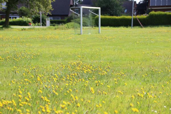 Sportplatz Stedesdorf - Esens-Stedesdorf