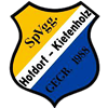 Wappen SpVgg. Hofdorf-Kiefenholz 1988 diverse  118224