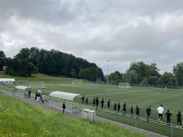 Stade du Platy terrain synthétique - Villars-sur-Glâne