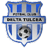 Wappen FC Delta Tulcea  5276