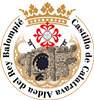 Wappen CD Aldea Del Rey Balompié