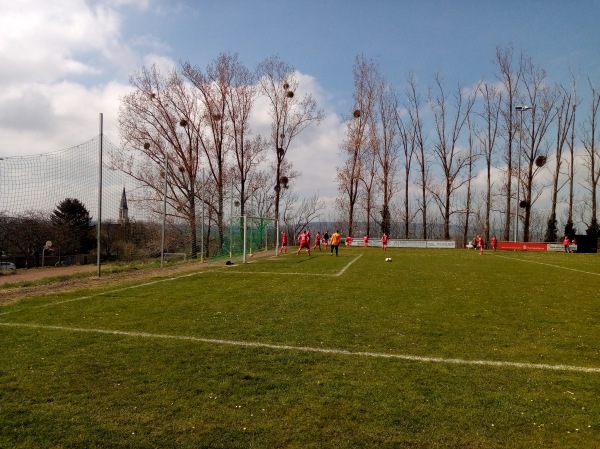 Sportplatz am Schützenplatz - Osterwieck-Dardesheim