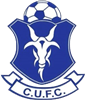 Wappen Colepark United FC