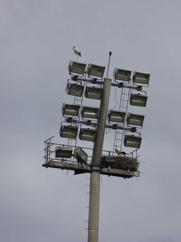 Stade Abdelkader Allam - Sidi Kacem