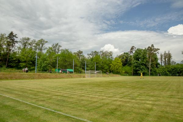 Stadion Banik Zbůch - Zbůch