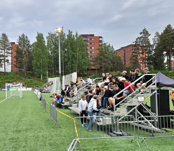 Viitaniemen tekonurmi - Jyväskylä