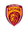 Wappen FC Bulleen Lions  9540