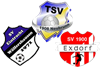 Wappen SG Neubrunn/Wölfershausen/Exdorf (Ground B)
