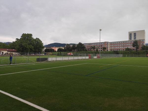 ESV-Sportzentrum Platz 2 - Freiburg/Breisgau-St. Georgen