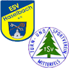 Wappen SG Haselbach/Mitterfels Reserve (Ground A)  123273
