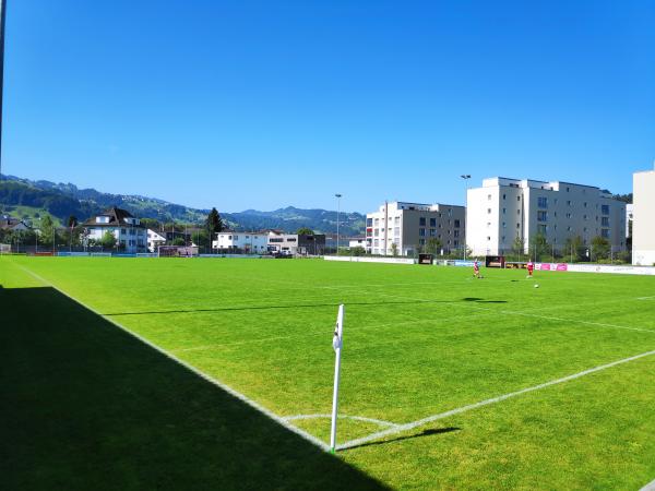 Sportplatz Stapfenwies - Rheineck