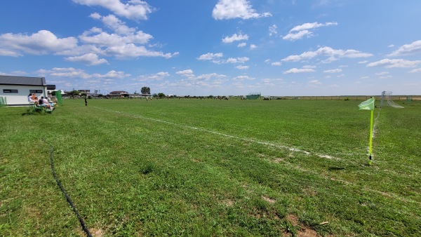 Stadionul Central Ionești - Ionești