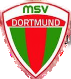 Wappen Marokkanischer Sportverein MSV Dortmund 2013 II