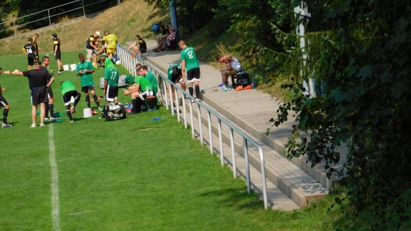 Sportplatz am Schloss - Weißenborn/Erzgebirge