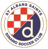 Wappen St Albans Saints Dinamo SC diverse