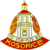 Wappen TJ Sokol Kosořice B